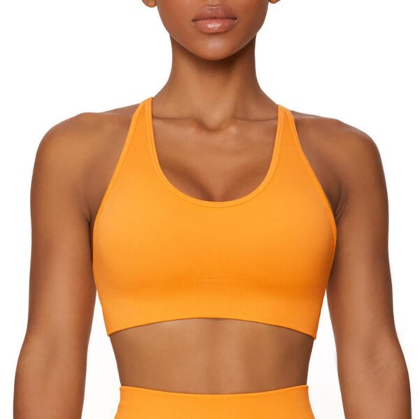 Women's Seamless Everyday Sports Bra